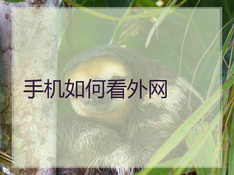 手机如何看外网